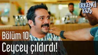 Download Erkenci Kuş 10. Bölüm - Ceycey Çıldırdı! MP3