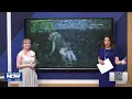 Trending Weather Sever Weather in Ohio Coast Guard Dog Rescue