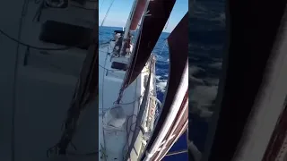 #synthetic #standingrigging #dyneema #threesails #cutter #sailing #ocean #boat #sailboat