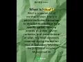 ✨ What is I’tikaf? ✨
