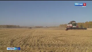Завершить уборочную кампанию в Омской области не даёт погода