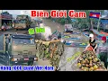 Download Lagu Về Biên Giới Campuchia hàng 1000 quân Việt Nam di chuyển,dân trúng ốc trên cánh đồng Cam