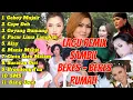 Download Lagu Lagu Remix Dangdut Koplo | Temani Bersih-Bersih Rumah Paling Asik
