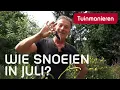 Wat en wie snoeien in juli? | Tuinmanieren