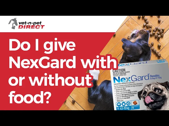NexGard Chews for Medium Dogs 4.1-10kg