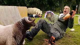 العيد دا غريب لان الخرفان هيا اللي هتضحي بالبشـر والنهاية مفاجأة Black Sheep 