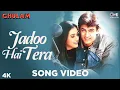 Jadoo Hai Tera | Aamir Khan & Rani Mukherjee | Ghulam Movie | Kumar & Alka | 90's Hindi Songs w