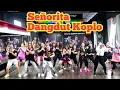 Download Lagu Señorita By Shawn Mendes Ft Camila Cabello (Cover By Via Vallen ) Dangdut Koplo
