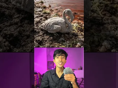 The Lake That Turns Animals to Stone 😳
