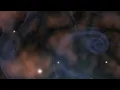 Catching Flies : Life Size Ghosts (Official Audio)