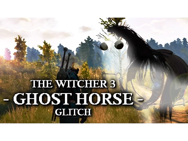 The Witcher 3 - Ghost Horse Glitch!!!