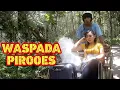 Download Lagu WASPADA PIROOES - GARA GARA MASKER