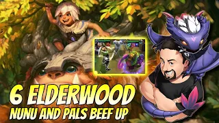 6 Elderwood - Nunu and Pals! | TFT Fates | Teamfight Tactics