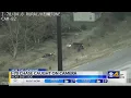 I-70 chase caught on camera