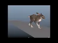 Chronicles of Elyria Trison Canis Rabbit Showcase