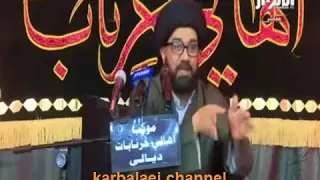 الشعب قدم انجازاته وساهم بتحرير البلد - السيد محمد الصافي