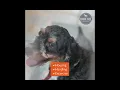 Petland Racine Proudly Supports Canine Care Certified Breeders 15sSq