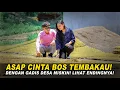 Download Lagu ASAP CINTA BOS TEMBAKAU DENGAN GADIS DESA MISKIN! Lihat Endingnya Bikin Semua Baper
