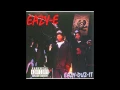 Download Lagu Eazy E - No More Question's
