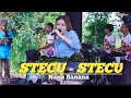 Download Lagu STECU - STECU // NANA BANANA // CAKRAWALA MUSIC // TAJ HD PRO // DUA PUTRA AUDIO