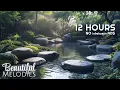 Download Lagu Relaxing Music + Soothing Water Sound 🌿 Eliminate Stress, Anxiety and Depression, Heal Mind and Body