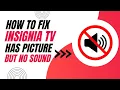 How To Fix Insignia TV with Picture But No Sound