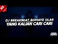 Download Lagu DJ BREAKBEAT BOMAYE ULAR SLOWED FYP TIKTOK [DANI REMIX]