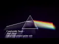 Comfortably Numb - Pink Floyd (Best version)