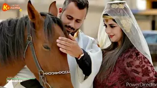حمامة ع النخل دندنها