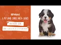 Petland - An Inside Look