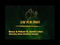 Braxe & Falcon ft. Sunni Colon - Elevation (Paul Woolford Remix)