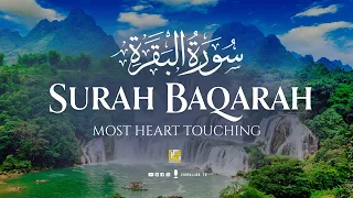 Surah AL BAQARAH Full (سورة البقره) Ultimate Deep Emotional Healing Quran Recitation | Zikrullah TV
