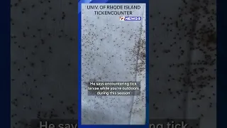 What is a tick bomb How to avoid them