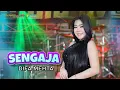 Download Lagu SENGAJA - DIFA MEHTA - OSAMA MUSIK - ANIJAYA AUDIO LIVE - NOVAL PRODUCTION