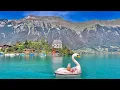 Download Lagu Boating around 🦢
