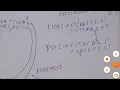 Directional cloning