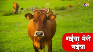 🔴LIVE -Funny Cow Dance 6 │ Funny Cow Song and Hilarious Cow Videos for Laughs! Meri Gaiya Aati Hai