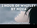 Download Lagu Whitley by Nova instrumental WITH rain and thunder / 1 hour loop calming and relaxing 🍃 tiktok