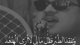 وتفقد الطير تلاوة اعجازية للشيخ ممدوح عامر دندنها