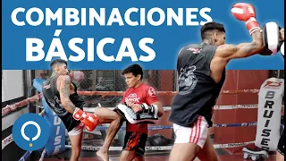 COMBINACIONES BÁSICAS de MUAY THAI para PRINCIPIANTES 🥊🦿 Golpes, Patadas y Técnica