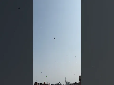 आज फिर पतंग 🪁 आई छत्त पर #kite @KiteLover