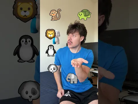 PINTE OS ANIMAIS PARA TRANSFORMAR!