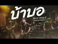 บ้าบอ - SILLY FOOLS ( Cover by Catsevilz )