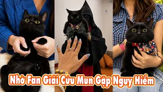 Nhờ Fan Giải Cứu Mun Gặp Nguy Hiểm???