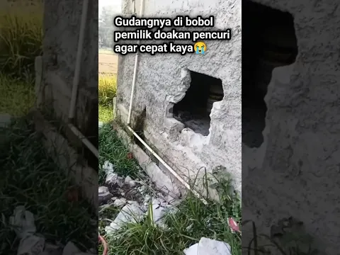 8 Mesin Traktor dicuri, reaksi pemiliknya bikin kaget#shortvideo#shorts#short