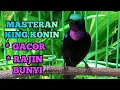 Download Lagu HITUNGAN DETIK‼️ KING KONIN/ KOLIBRI RAJA LANGSUNG NYAUT \u0026 GACOR,masteran \u0026 pancingan cepat gacor