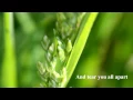 Download Lagu Peter Cetera - Only Love Knows Why [w/ lyrics]