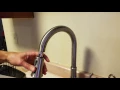 Price Pfister kitchen faucet repair Pull down spray nozzle