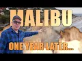 MALIBU ONE YEAR LATER The Adam Carolla Vlog