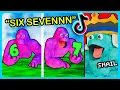 Download Lagu FUNNIEST Animal Company TikToks on the Internet...